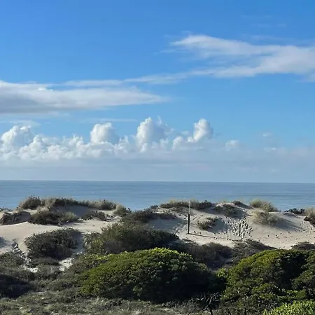 Casa Alegria Deluxe By Sweet Aveiro דירה *