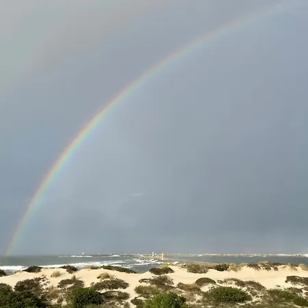 דירה Casa Alegria Deluxe By Sweet Aveiro